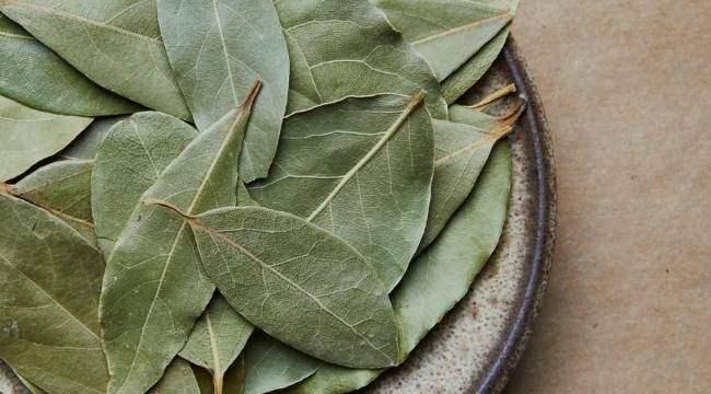 <p><span style="color:#000000"><strong>Bu yabani yeşillikler, pek çok yeşillikten 10 kat daha fazla atardamar temizleyici antioksidan barındırıyor." yorumunda bulundu.</strong></span></p>
