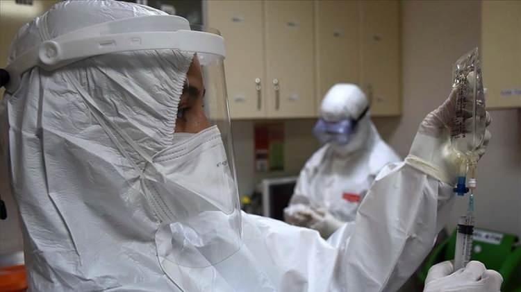 <p>Ayrıca, farelerde omicron varyantının bir türüne maruz kalan hücrelerde viral yükü önemli ölçüde azalttılar.</p>