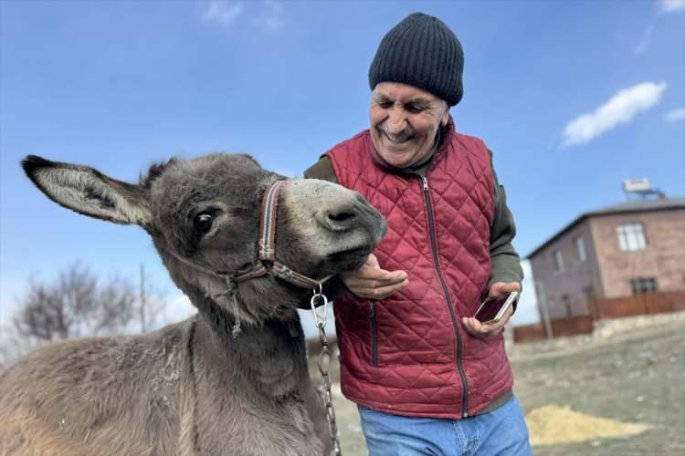 <p>Elazığ'ın Ağın ilçesinde yaşlandığı gerekçesiyle sahibi tarafından kırsala bırakılan eşeğe sahip çıkan <strong>Turan İkinci (72) arkadaşı eşek ile 21 yılı devirdi.</strong> İkinci'nin​ vicdanlı davranışına Türkiye'den destek yağdı.</p>
