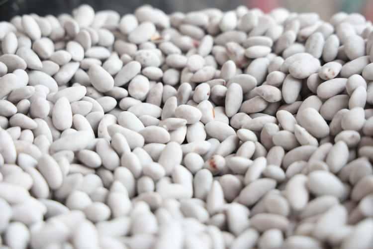 <p><em><strong>Badem şekerini yaptığımız zaman en &ouml;nemli &ouml;zelliklerinden birisi, az şekerli olmasıdır. Ramazan ayından &ouml;nce, 2 torba badem şekeri yaparken Ramazan ayında badem t&uuml;ketimi 10 katına &ccedil;ıkıyor. G&uuml;nl&uuml;k olarak 12-13 torba badem işliyoruz bu da ortalama 500 kilogram badem şekerine tekab&uuml;l ediyor. Badem şekerine &ccedil;ok yoğun bir talep var. &Ouml;zellikle şekerini ince sardığımız i&ccedil;in vatandaşlar tarafından yoğun talep g&ouml;r&uuml;yor"</strong></em> şeklinde konuştu.</p>
