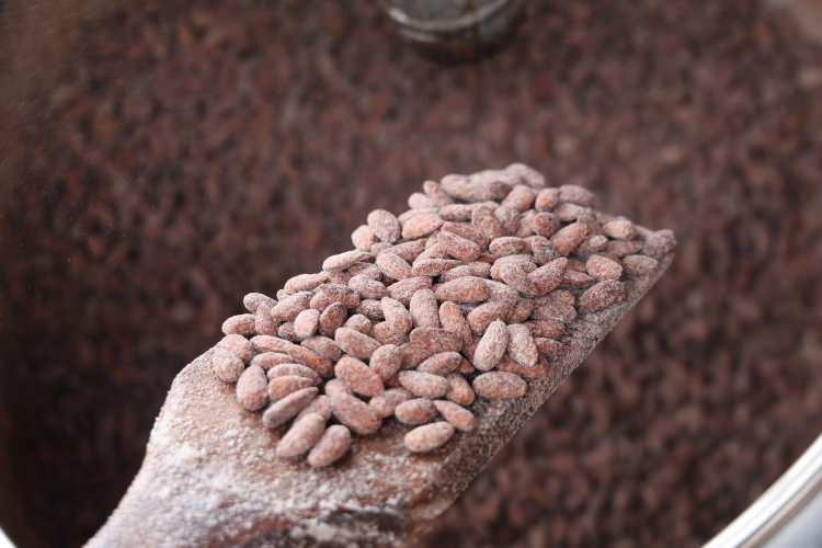 <p><strong>GELENEKSEL OSMANLI ŞEKERLEMELERİ ARASINDA</strong><strong>​</strong></p>

<p>K&ouml;kenleri &ccedil;ok eski yıllara dayanan k&uuml;lt&uuml;rel bir değer olan badem şekeri, g&uuml;n&uuml;m&uuml;zde de T&uuml;rkiye'nin bir&ccedil;ok b&ouml;lgesinde &uuml;retiliyor ve satışa sunuluyor. Badem şekeri &uuml;retiminin &ouml;n planda olduğu illerden Elazığ'da, her yıl olduğu gibi bu yıl da badem şekeri mesaisi başladı. İl genelinde &uuml;reticiler ve yerli halk tarafından "Beyaz İnci" olarak anılan badem şekeri satışları, Ramazan ayının gelmesiyle rekor seviyeye y&uuml;kseldi.&nbsp;</p>
