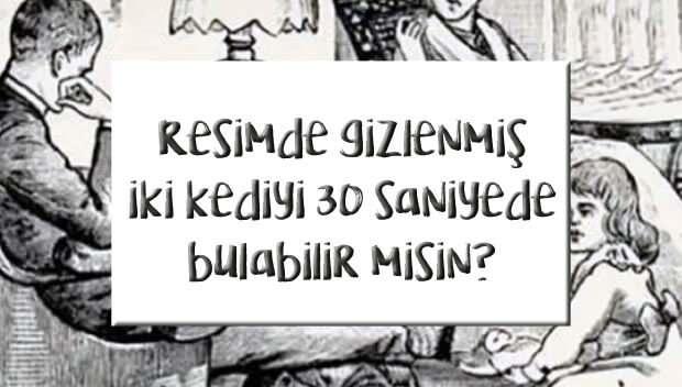 <p><strong><em>Bu optik illüzyonda gizlenmiş 2 kediyi sadece %1’lik bir kesim 30 saniyede bulabiliyor! Gözlem yeteneğinize güveniyor musunuz? Şimdi deneyin ve gizli kedileri keşfedin!</em></strong></p>
