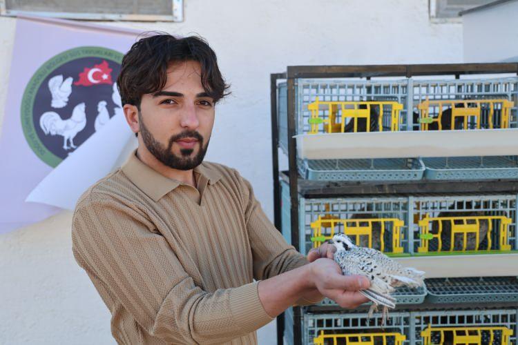 <p>Ciddi anlamda bir talep olduğunu dile getiren Karabulut, <strong>"Ürettiklerimiz anında sahipleniliyor. Türkiye'de ciddi anlamda egzotik bıldırcın eksikliği var. Çünkü etlik ve yumurta üzerine bıldırcın türleri üzerine yoğunluk var. Egzotik olarak bilinmiyor." </strong>ifadelerini kullandı. </p>