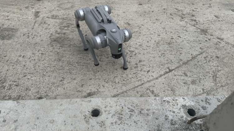 <p>Projenin ikinci aşamasında deprem sonrası görüntüleri bir vasıta aracıyla elde etmek için çalıştıklarına dikkati çeken Hacıefendioğlu, "Bunu 'Robot köpekle yapabilir miyiz?' diye düşündük, soruşturduk ve kamera görüntülerini uzaktan bize ulaştırabiliyor mu baktık. Baktığımızda görüntü alabiliyoruz ve üzerine derinlik kameraları da konulduğunda daha hassas görüntüler elde edebiliyoruz." ifadesini kullandı.</p>
<p> </p>