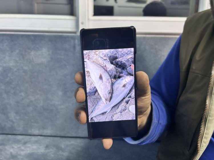 <p>İnsan mutlu oluyor balık yakalayarak psikolojisini düzeltiyor. Stres atıyorsunuz hem de maddi olarak cebinize harçlık oluyor" şeklinde konuştu.</p>