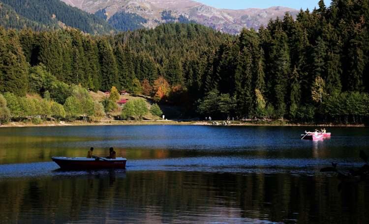 <p>Artvin - Şavşat</p>
