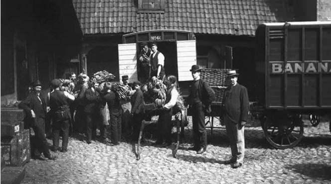 <p><strong><span style="color:#B22222">NORVEÇ İLK MUZ TESLİMATINI ALDI</span> | 1905</strong></p>