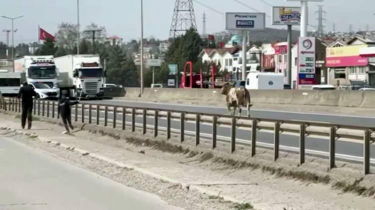 <p>Sakarya'nın Erenler ilçesi D-100 kara yolunda seyir halinde olanlar adeta gözlerine inanamadı. O anlar ise saniye saniye kameralara yansıdı...</p>
