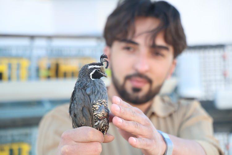 <p>Elazığ'da üniversite eğitimi alan Veteriner Fakültesi öğrencisi Hüseyin Göksel Karabulut, Amerika'dan sipariş ettiği<strong> 17 tür egzotik bıldırcın yumurtası ile çiftlik kurdu. </strong></p>
