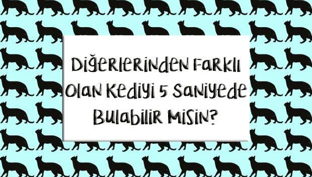 <p><strong><em>Zeka testleri ile görsel zekanızı ölçün! Resimdeki diğerlerinden farklı kediyi sadece 5 saniyede bulabilecek misiniz? Bu eğlenceli bulmaca ile gözlem yeteneklerinizi test edin ve beyninizi aktif tutun!</em></strong></p>
