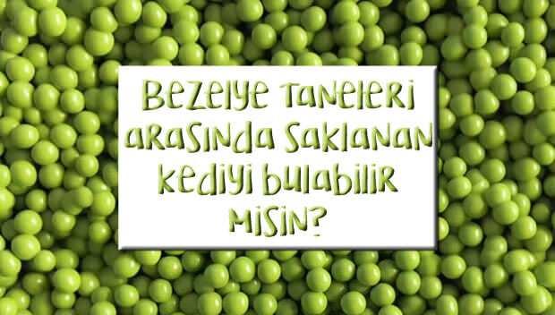 <p><em><strong>Zeka testi severler buraya! Bezelye taneleri arasına ustaca saklanan kediyi bulabilir misiniz? Bu dikkat testiyle gözlem yeteneğinizi sınayın ve kaç saniyede bulduğunuzu yorumlarda paylaşın! </strong></em></p>
