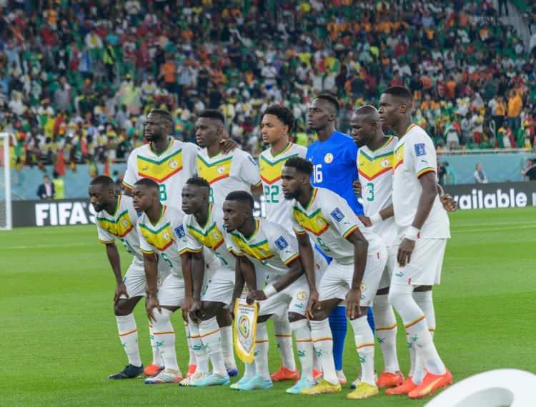<p>29-Senegal</p>
