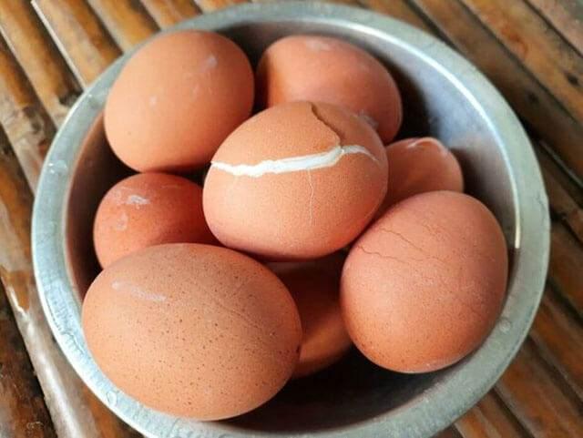 <p>Haşlanmış yumurtanın raf ömrü, doğru şekilde saklandığında birkaç saatten bir haftaya kadar çıkabilmektedir. Burada asıl önemli olan nokta, haşlanmış yumurtaları <strong>kabuklarını soymadan</strong> ve tamamen <strong>soğuduktan sonra</strong> saklamaktan geçer. Siz de bu yöntemler sayesinde, sayı olarak fazla haşladığınız yumurtaları gönül rahatlığıyla saklayabilirsiniz.</p>
