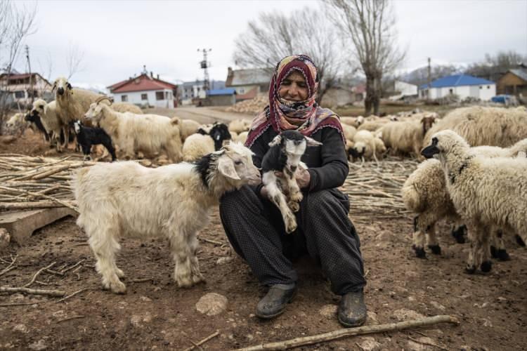 <p><span style="color:#A52A2A"><strong>HAYVANCILIKLA GEÇİNİYORLAR </strong></span></p>
<p>İlçenin Konaklar, Kızık, Paşadüzü, Havuzlu, Köseler, Koyungölü, Çakmaklı ve Burnak köylerinde yaşayan besiciler de yıllardır sürdürdükleri küçükbaş hayvan yetiştiriciliğiyle geçimini sağlıyor. </p>