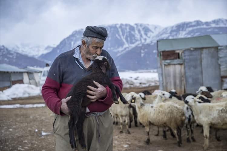 <p>Her mevsim hayvanlarıyla ilgilenen besiciler, yaklaşık bir ay önce dünyaya gelen baharın müjdecisi oğlak ve kuzuların bakımı nedeniyle meşakkatli günler geçiriyor.</p>