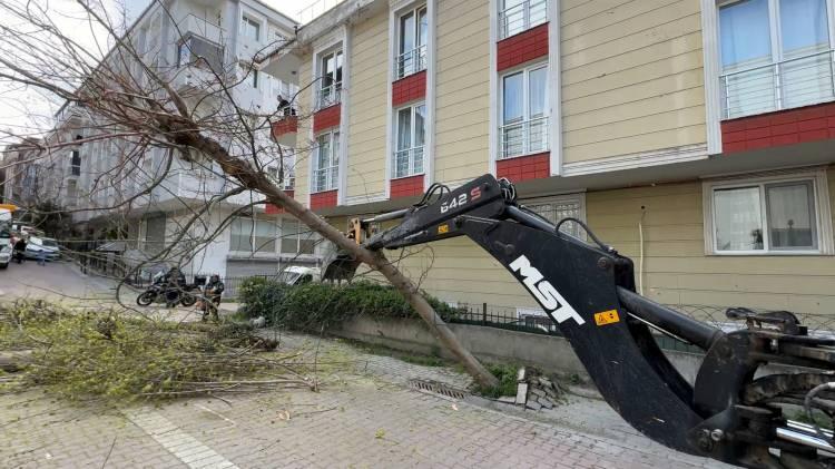 <p><span style="color:#B22222"><strong>AĞAÇLAR KÖKLERİNDEN SÖKÜLDÜ</strong></span></p>