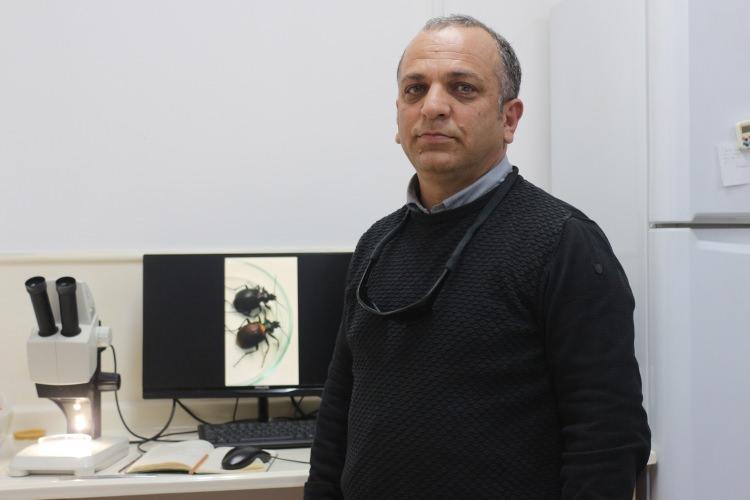 <p><strong><span style="color:rgb(178, 34, 34)">SON 2 EVRESİ TEHLİKE SAÇIYOR</span></strong></p>
<p>AÜ Fen Fakültesi'nden Prof. Dr. Hüseyin Çetin, <strong>"Şu anda özellikle çam ağaçlarında beyaz ağ içerisinde gördüklerimiz larva formudur. Bu form genellikle eylül ayı gibi ortaya çıkar, yavaş yavaş yürüyerek 5 evre geçirir. Mart ve nisan aylarında ağaçtan inerek, toprağa karışır. 5 evrenin son 2 evresi, insan ve hayvanlar için tehlikelidir. Alerjik tüyleri sayesinde insan ve hayvanlar üzerinde alerjiye yol açıyor. Hava sıcaklığı arttığı için insanlar piknik ve mesire alanlarına daha çok gidiyor ve kızılçam ağaçlarının olduğu bölgelerde oturuyorlar. Mümkün olduğunca uzak durulması gerekiyor. Küçük çocukları uyarmak ve bebeklere dikkat etmek lazım" </strong>dedi.</p>