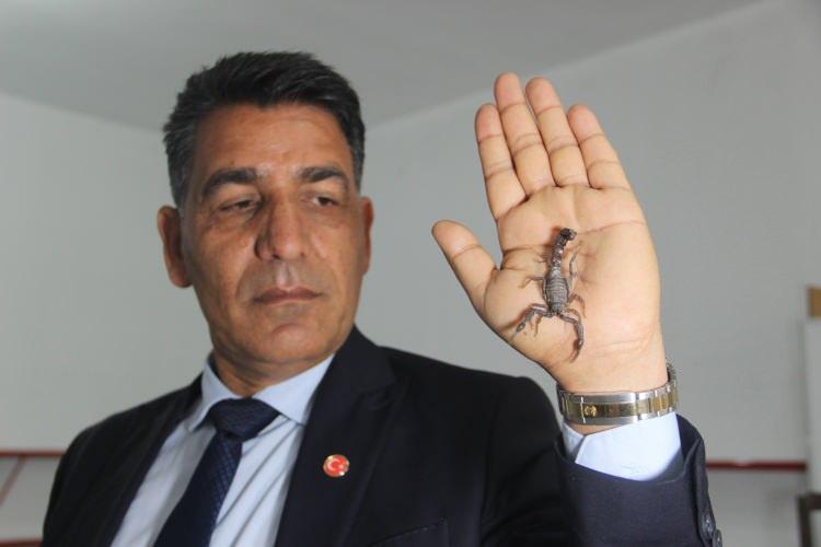 <p><strong>"Akrep Ali" </strong>lakaplı Ali Yılmaz, bakanlığın Anadolu akrebi olarak adlandırdığı kara akrebin korunmasına ilişkin kararın kendilerini mutlu ettiğini söyledi.<strong></strong></p>