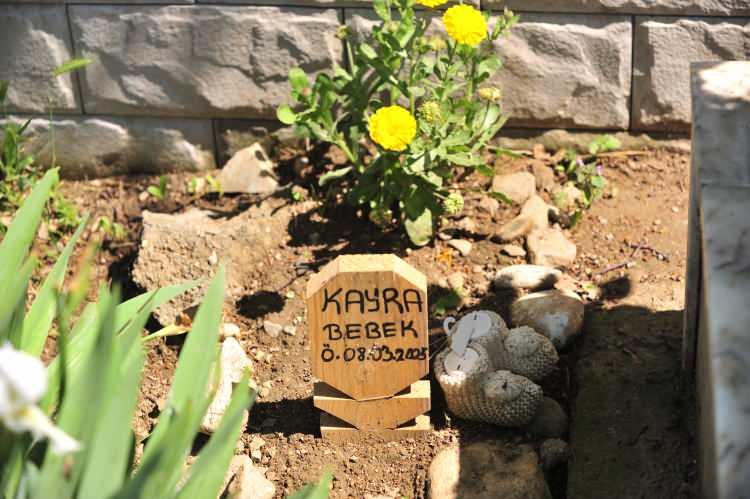 <p>Olay, Ramazan Bayramı’nda mezar ziyaretine giden bir kişinin babasının kabrinin yanında üzerinde "Kayra Bebek" yazan tahta ve yanına bırakılan patikleri görmesiyle ortaya çıktı. </p>