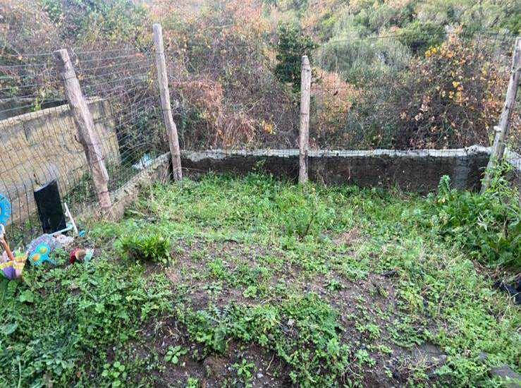 <p>Türkmen'in ölümünün ardından özel bir hastanede DNA testi yaptıran İmre, Türkmen'in öz babası olduğunu ispatlayarak dava açtı.</p>

<p>Testi yapan özel hastanenin raporunun mahkemede kabul edilmemesi üzerine, İmre ve avukatı Türkmen'in mezarının açılmasını talep etti.</p>
