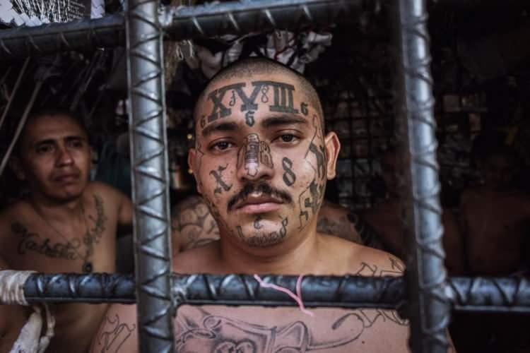 <p><span style="color:#B22222"><strong>TRUMP'TAN ÖVGÜLER</strong></span></p>
<p> </p>
<p>Donald Trump El Salvador Devlet Başkanı<strong> </strong>Bukele'ye, <strong>"Sizinle çalışmaktan memnuniyet duyuyoruz çünkü siz suçu durdurmak istiyorsunuz, biz de öyle ve bunu etkili şekilde yapıyorsunuz.</strong>" diye övgüyle hitap etti.</p>
