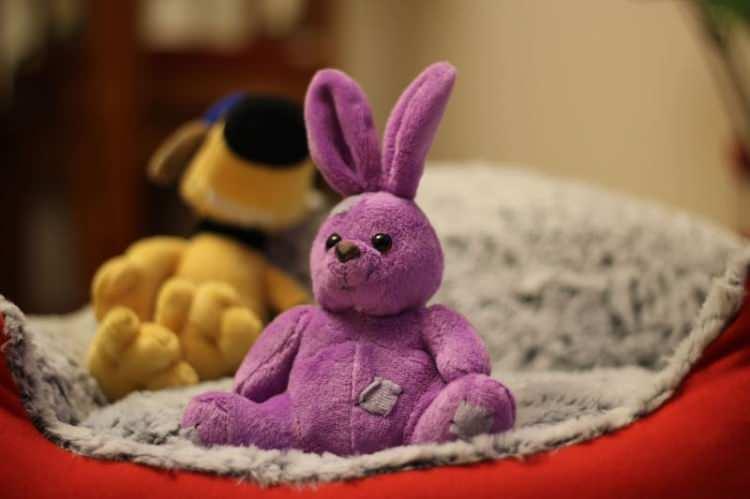 <p><span style="color:#B22222"><strong>7) OYUNCAKLAR VE PELUŞLAR</strong></span></p>