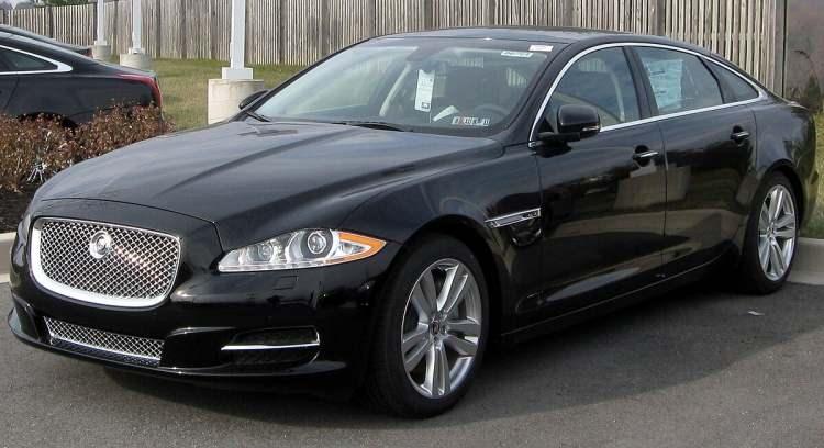 <p>Jaguar</p>
