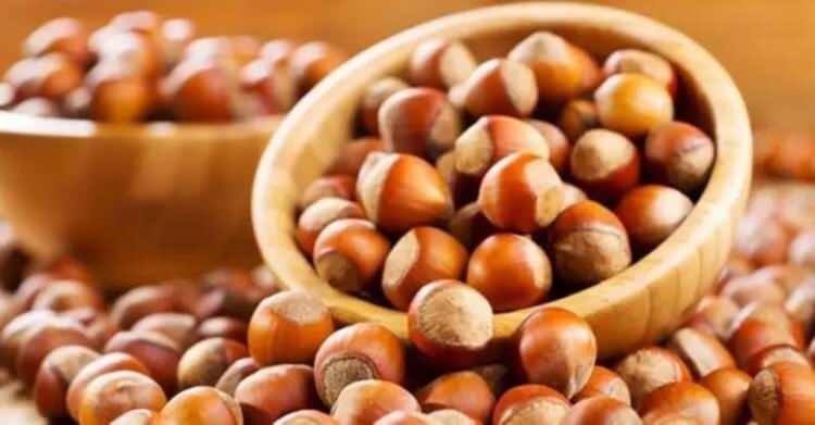 <p>63. ORDU - Fındık</p>

<p>&nbsp;</p>
