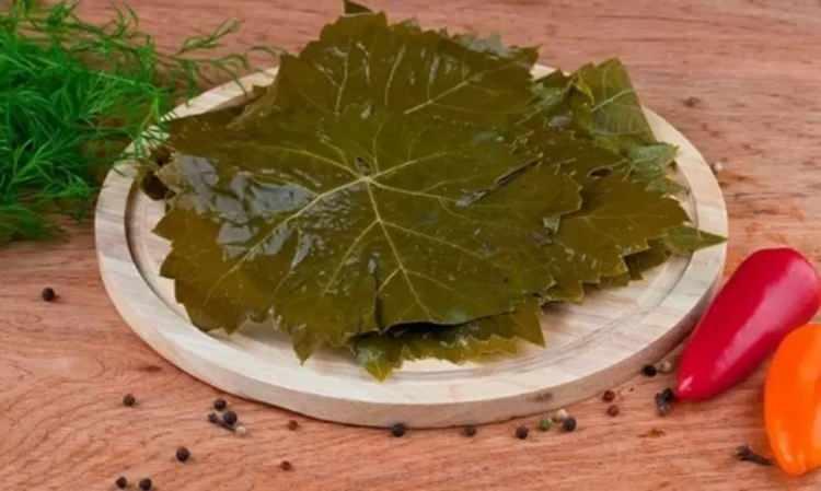 <p>74. TOKAT - Asma Yaprağı</p>

<p>&nbsp;</p>
