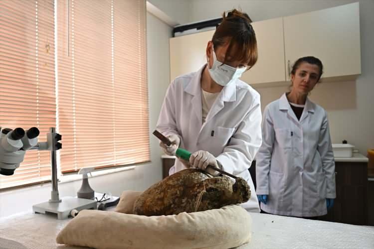 <p>- "SONUCU BEKLEMEK ÇOK DAHA HEYECANLI"</p>
<p>Kazı heyeti başkanı Doç. Dr. Hakan Öniz, AA muhabirine, 1100 sene önce Filistin'in Gazze kıyılarından çıkan ticaret gemisinin muhtemel fırtınayla Akdeniz kıyılarında battığını tahmin ettiklerini söyledi.</p>
<p>O dönemde Gazze'nin önemli ihraç ürününün zeytinyağı olduğunu, Tekirdağ Şarköy-Gaziköy'den de muhtemelen şarap ihraç edildiğini anlatan Öniz, "Bu ticaret gemisi birden fazla limana uğrayan bir gemi. 9. ve 10. yüzyıl Abbasi egemenliğinin yani İslam egemenliğinin olduğu dönem. Gemideki muhtemel şarap taşıyan amforalara bakarak Filistin'de halkın şarap tükettiğini düşünmüyoruz ancak bölgede göçmenlerin, Hristiyan hacıların ya da Kudüs'ü ziyarete gelenlere hediye olarak yollanan malzeme olabileceğini düşünüyoruz." diye konuştu.</p>