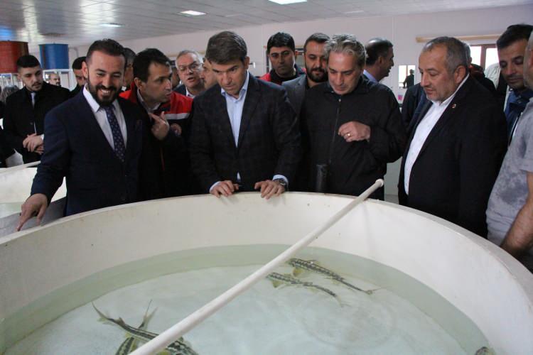 <p>Alanında uzman görevlerin yer aldığı sağım işlemine Amasya Valisi Önder Bakan da katıldı.</p>

