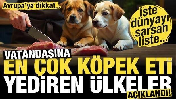 <p><strong><span style="color:#B22222">VATANDAŞINA EN ÇOK KÖPEK ETİ YEDİREN ÜLKELER AÇIKLANDI! İŞTE DÜNYAYI SARSAN LİSTE!</span></strong></p>
<p> </p>