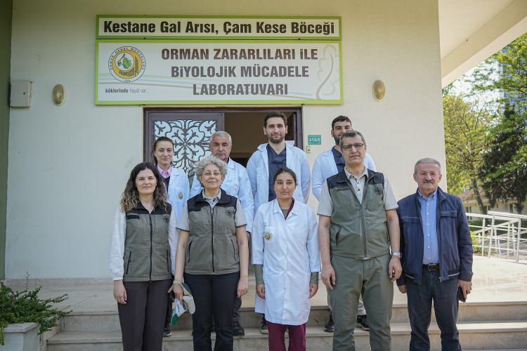 <p><span style="color:#A52A2A"><strong>YIRTICI BÖCEKLER ÜRETİLİYOR </strong></span></p>

<p>Böcek zararlısına karşı yürütülen çalışmalarda öncelikle zararlının popülasyonunu azaltmayı ve ilerleyen süreçte bozulan doğal dengeyi yeniden kurmayı hedeflediklerimi söyleyen Erdal Şahan, <strong>"Orman Bölge Müdürlüğümüzde çam ormanlarının gelişimini engelleyen çam kese böceği zararlısına karşı da bu anlayış doğrultusunda çalışmalar yürütmekteyiz. Doğadaki besin zinciri içinde zararlının larvasından beslenen böceklerin ormanlık alanlarda oluşturduğumuz adacık ve tel kafeslerde yırtıcı sayılarını artırmak, keseleri toplayarak imha etmek ve yırtıcı böcekleri laboratuvar ortamında üretmek gibi çeşitli yöntemler kullanıyoruz."</strong> ifadelerini kullanıd. </p>
