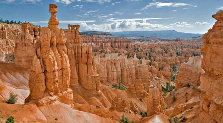 <p><strong>19. BRYCE KANYONU - UTAH, ABD</strong></p>
<p>Alt kısmı yumuşak kaya ve üst kısmı sert kayadan oluşan bu sütunlar, binlerce yıllık aşınma ve erozyonun sonucu oluşmuştur.</p>