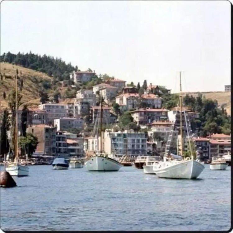 <p>1971, Bebek</p>
