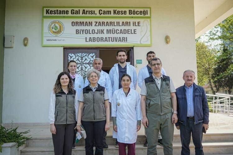 <p><span style="color:#000000"><strong>Yırtıcı böcek üretimi amacıyla 2006 yılında kurulan Bursa Orman Bölge Müdürlüğü bünyesinde faaliyet gösteren Orman Zararlıları ile Biyolojik Mücadele Laboratuvarı, ilgi çekici bir çalışmaya imza attı.</strong></span></p>