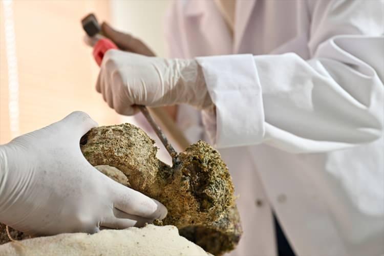 <p>- "ANALİZ SÜRECİ UZUN SÜRECEK"</p>
<p>Akdeniz Üniversitesi Mühendislik Fakültesi Malzeme Bilimi ve Mühendisliği Bölümü Öğretim Üyesi Prof. Dr. Meltem Asiltürk Ersoy da meslek hayatında ilk kez kapalı amforanın içindeki malzemeyi inceleyeceğini söyledi.</p>
<p>Çamurumsu örnekler gözüktüğünü anlatan Ersoy, "1100 yıllık süreçte deniz ortamında, hem basınç altında hem de sıcaklık değişimlerine bağlı olarak neler olduğunu anlamaya çalışacağız. Bilimsel çalışmalar tek analizle olmuyor, pek çok analizin birbirini doğrulaması gerekiyor. O yüzden bu süreç uzun olacak. O döneme ait bilgilerle analiz sonuçlarını birleştirerek sonucu bilim ve arkeoloji dünyasına sunacağız." ifadesini kullandı.</p>