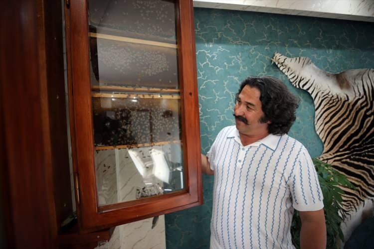 <p>Gülpınar, arılarla aynı ortamda bulunmanın keyifli olduğunu düşünerek <strong>Aydın</strong>'a döndüğünde ofisine kovan kurmaya karar verdi. Marangoz arkadaşından da destek alan Gülpınar, açılır kapanır nitelikte pencereye benzer iki yüzü cam olan kovan yaptırdı.</p>
<p> </p>