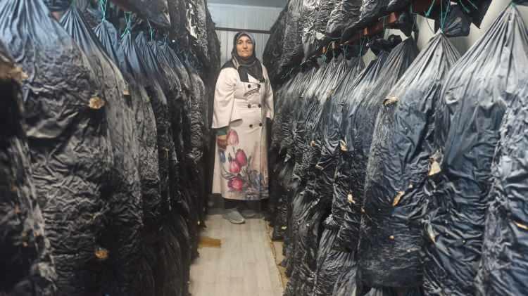 <p>Malatya'da Kentte Kadın Girişimciler Derneği çatısı altında bir araya gelen kadın girişimciler, <strong>225 siyah torbada yetiştirdikleri ürünleri satarak geçimlerini sağlıyorlar. </strong></p>