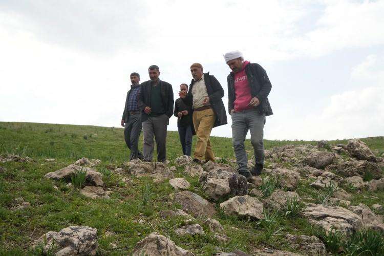 <p><span style="color:#B22222"><strong>"İÇİNE ATTIĞIMIZ TAŞIN, TAŞIN DİBE ULAŞMASI İKİ DAKİKA SÜRÜYOR"</strong></span></p>
<p>Bilek köyü sakinlerinden Şabeddin Çiçek, bu keşfin Göbeklitepe ile eşdeğer bir keşif olabileceğini belirterek,<strong> "Dayım Atik Bey, burada hayvan otlatırken surları olan bir kale keşfettiğini söyledi. Biz de kendi imkânlarımızla araştırma yaptık. Bölgeye geldiğimde gerçekten de 2 metre genişliğinde bir sur bulduk. Köyün büyüklerine sorduk, burada geçmişte bir yapının bulunduğunu söylediler. Yapının üzerinde 4-5 adet havalandırma bacası vardı. İçine taş attığımızda, taşın dibe ulaşması yaklaşık iki dakika sürüyordu. Bu yapının Göbeklitepe ile eşdeğer bir yer olduğunu düşünüyoruz. Çünkü bölgede yaklaşık 110 bin ahlat ağacı bulunuyor. O dönemlerde bu ahlat ağaçlarından hasat edilen armutların şarap yapımında kullanıldığını öğrendik. Bu kalenin de şarap imalatı için kullanıldığını tahmin ediyoruz" </strong>dedi.</p>