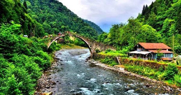 <p>3. Rize</p>
