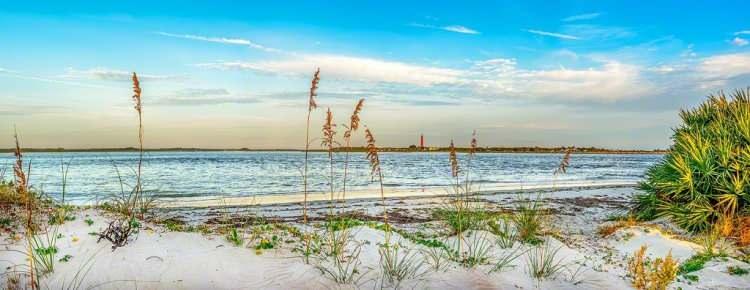 <p>Florida’nın bu popüler plajı, köpekbalığı saldırılarıyla ünlü. 1882’den beri 267’den fazla saldırı kaydedildi; çoğu yavru köpekbalıkları tarafından gerçekleşse de ciddi yaralanmalara neden olabiliyor. Sörfçüler için özellikle riskli.</p>