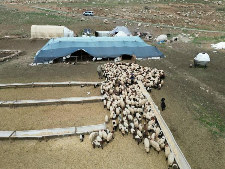 <p>Henüz çocuk yaşta omuzlarına yüklenen ağır sorumluluklarla hayatı tanıyan Rozerin Yıldız, ailesiyle birlikte Hakkari'ye doğru zorlu göç yolculuğuna başladı. </p>