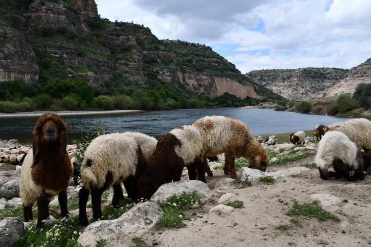 <p><strong>Güvenlikçi olmak istiyorum. Buradan Hakkari'ye gideceğiz ve buradan yürüyerek gideceğiz. 30 gün boyunca yürüyoruz. </strong></p>