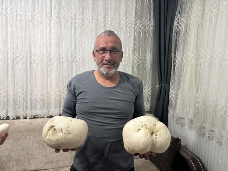 <p>Güneykent beldesi Baladız Mahallesi'ndeki kırsal alanda ailesiyle yürüyüşe çıkan Yusuf Yalçın, gazetecilere, yürüyüş sırasında iki dev mantarla karşılaştığını söyledi.</p>
<p> </p>