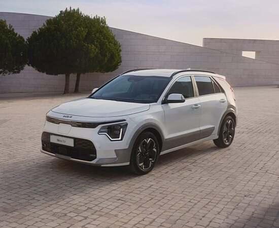 <p>11. Kia Niro EV</p>