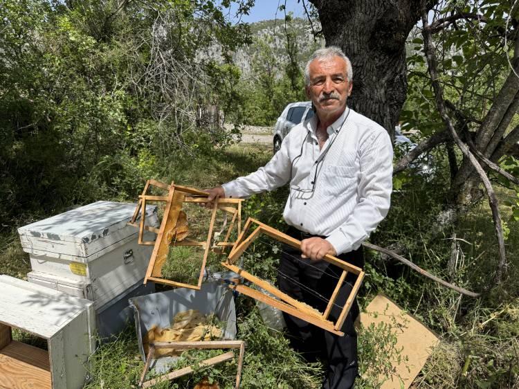 <p>İbradı ilçesi Ürünlü Mahallesi'nde 50 yıldır arıcılık yapan Mesut<strong> Şanlı,</strong> ayıların son zamanlarda mahalleye kadar inerek kovanlara zarar verdiğini belirtti. </p>