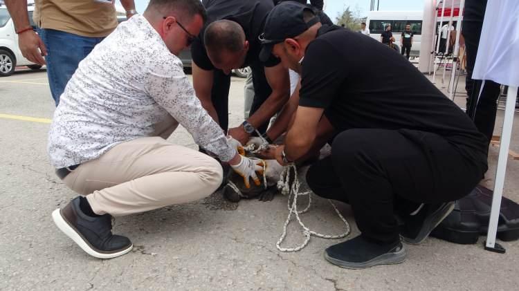 <p>Malatya'da bir AVM’nin otoparkında düzenlenen etkinlikte, kalabalığın arasına dalarak bir kadına arkadan saldıran pitbullu 4 kişi güçlükle kontrol altına alabildi.</p>
<p> </p>