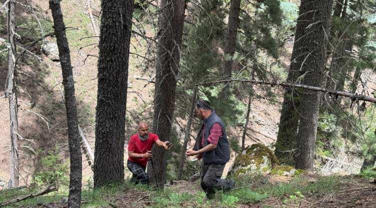 <p>Toros Dağları'nın yüksek kesimlerinde sabahın ilk ışıklarıyla beraber arkadaşlarıyla mantar toplamaya başlayan Hasan Ay, Civcikuyu olarak adlandırılan mevkiye sabah saat 05.00 gibi geldiklerini söyledi.</p>
