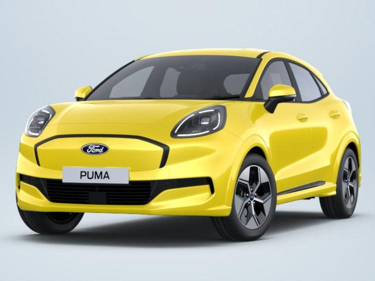 <p>FORD PUMA</p>

